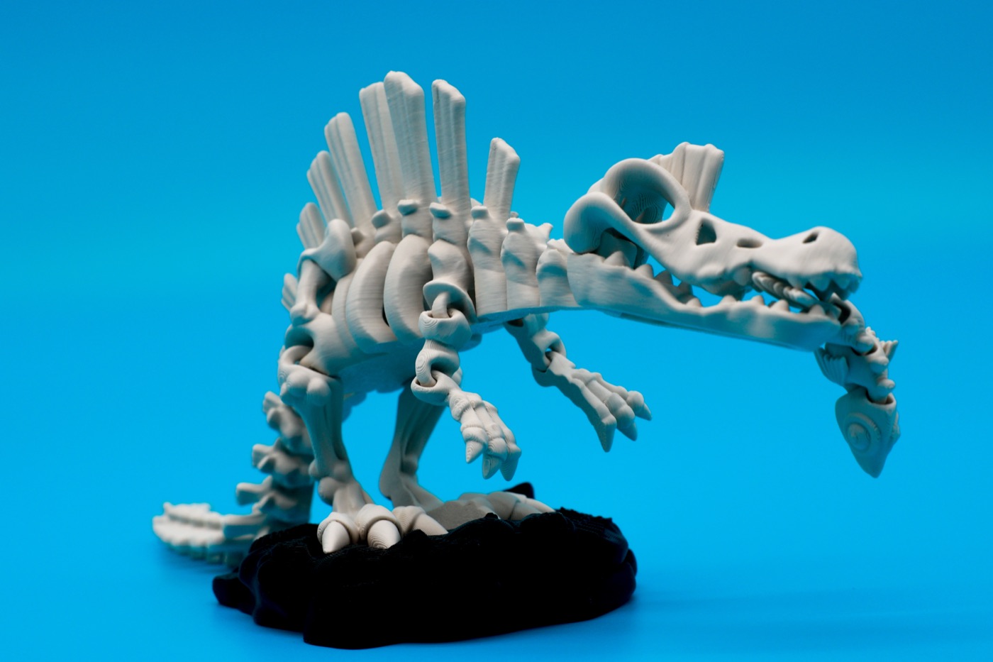 Spinosaurus Skeleton, articulated 3D print
