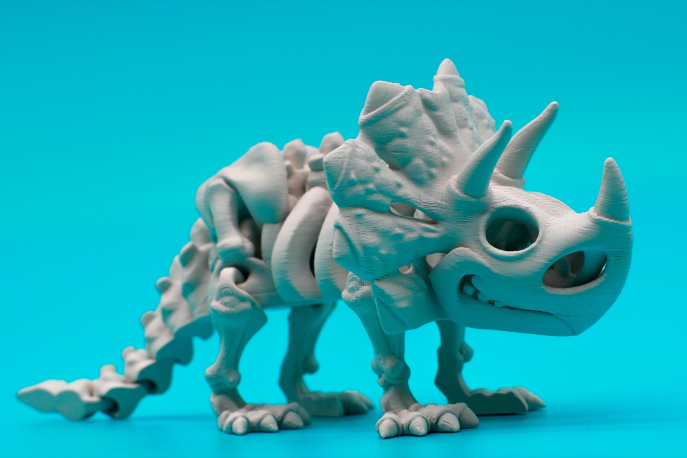 Triceratops Skeleton, articulated 3D print