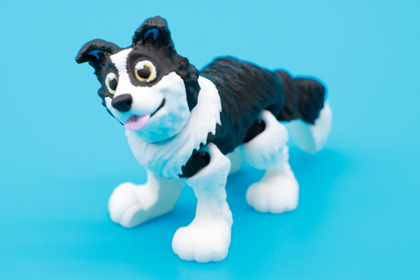 Articulated Border Collie print