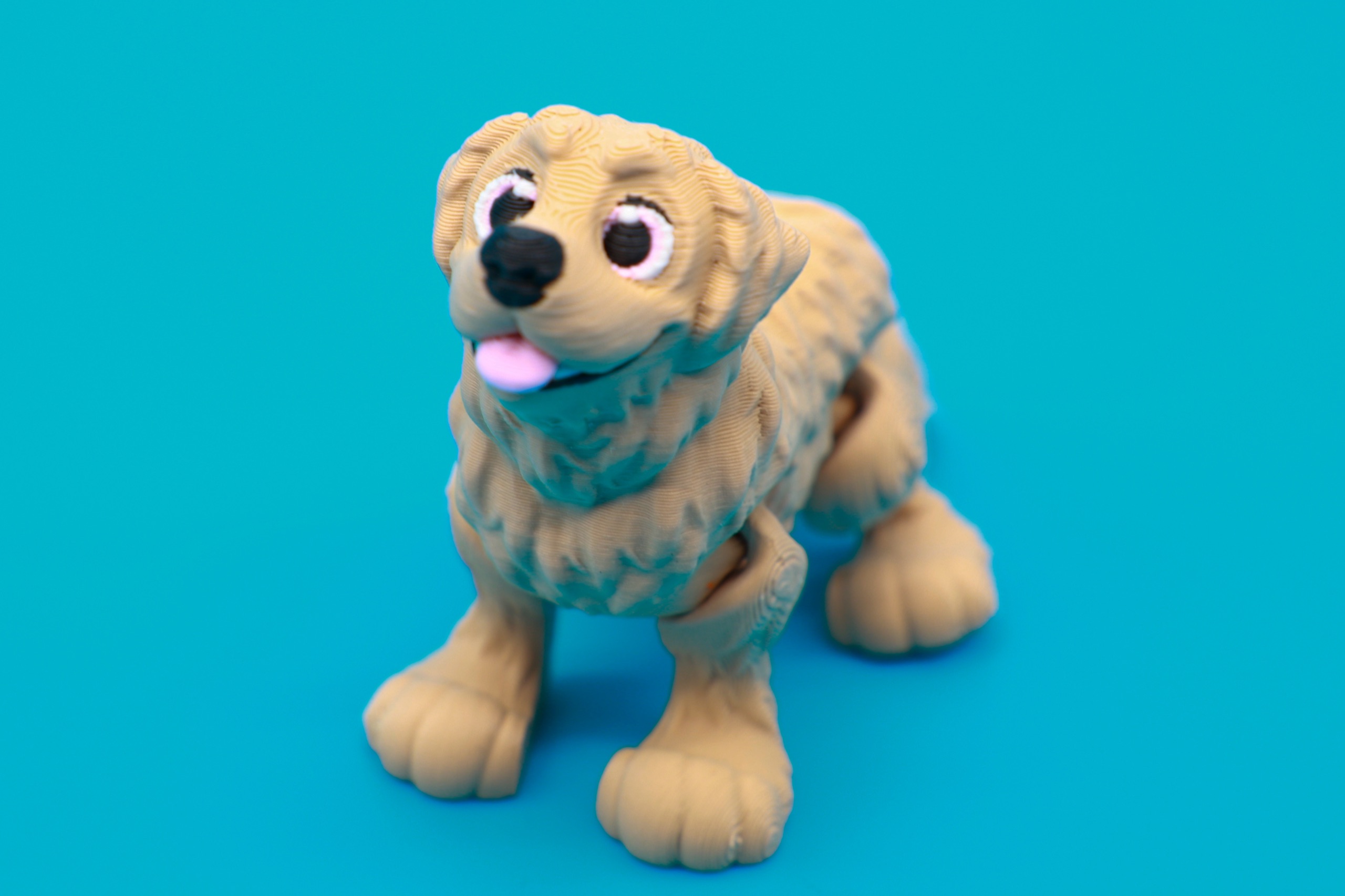 Golden Retriever print looking up