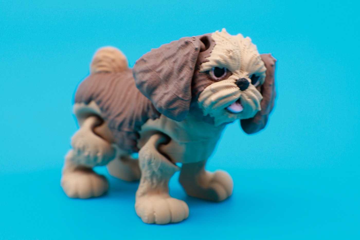 Articulated Shih Tzu print
