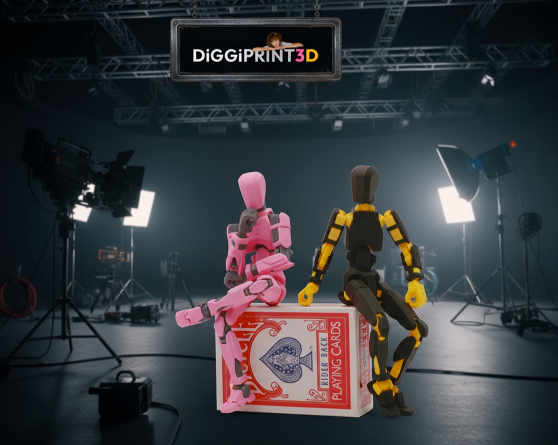 Dummy13 sitting on a deck of cards